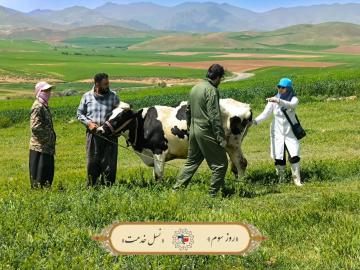 برگزاری اردوی جهادی دانشگاه رازی در مناطق کم‌برخوردار سنقر و ارائه خدمات تخصصی دامپزشکی