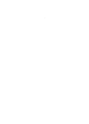 Razi University